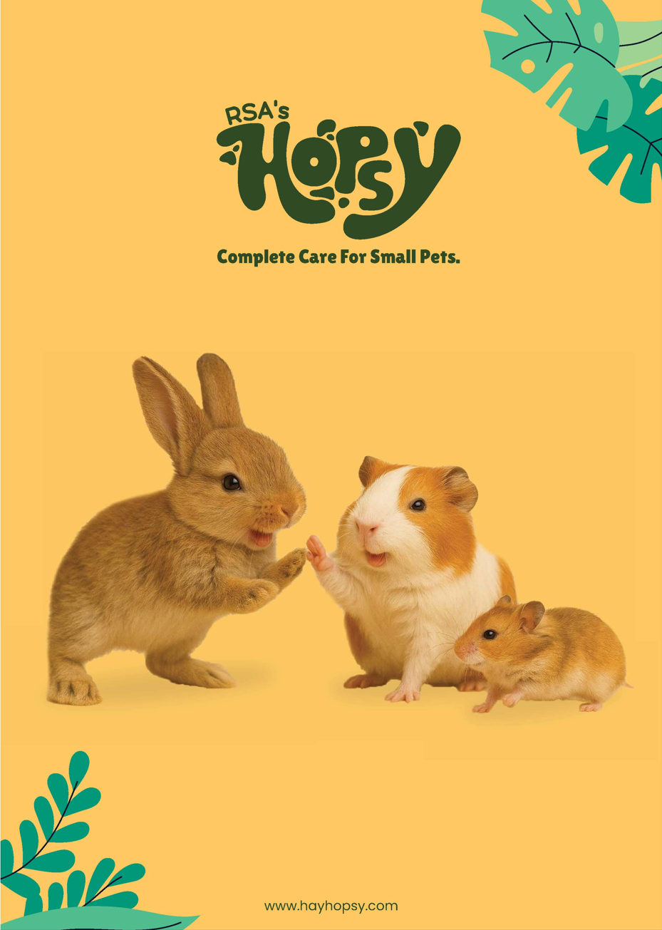 Hopsy Title Page